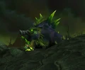 Felboar.jpg
