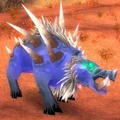 Shard-hide boar.JPG