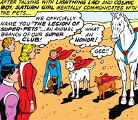 Legion of Super-Pets 01
