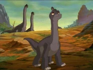 Brachios