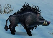 Crag Boar
