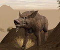 Bladeback boar.jpg