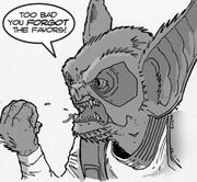 Furlag angry