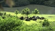 800px-Oboz marines 5x03.jpg