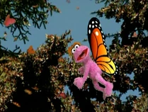 LolaButterfly