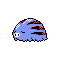 Swinub plata variocolor