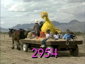 2954