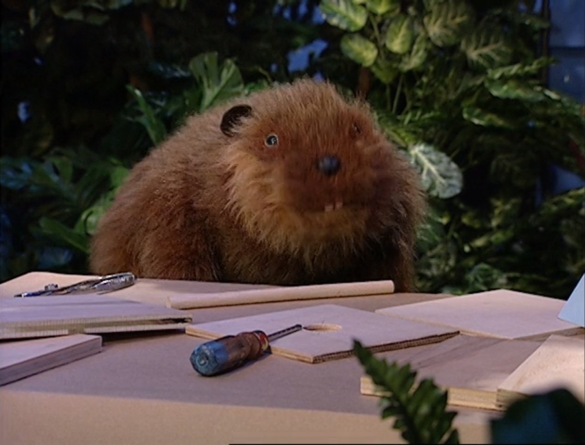 Jacquesthebeaver