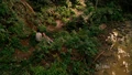 5x05-charlotte-tot.jpg