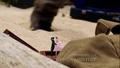 5x05-danielles-spieluhr.jpg