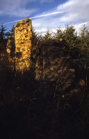 Nafferton castle durham.jpg
