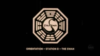 Swan orientation
