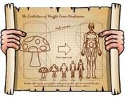 The Evolution of Muggles From Mushrooms