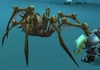 Carrion Fleshstripper