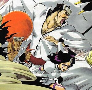 Bleach-Arrankars-Los Espada