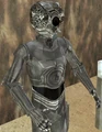 8LOM.png