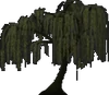 Willow.gif