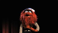 Muppets-com101