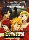 Wallflower