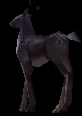 Stag face.jpg (5 KB)