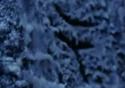 FrozenWheelGlyph4.jpg