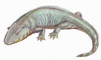 Sclerocephalus1DB
