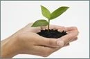 Hands-Holding-Seedling