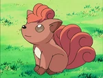 EP427 Vulpix.png