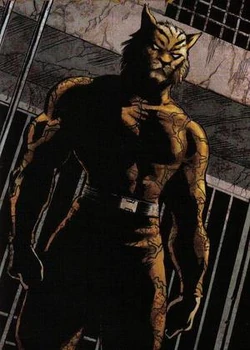 Bronze Tiger