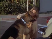 The.Bionic.Woman.S03E01.DVDrip.XviD-SAiNTS.avi 002431920