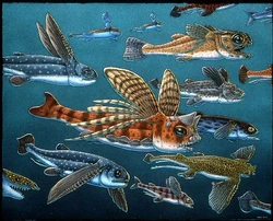 Iniopteryngians