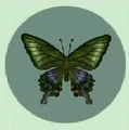 Peacock butterfly.jpg
