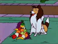The Canine Mutiny