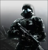 The Rookie White