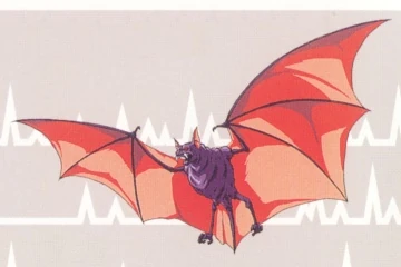 RoB Phantom Bat