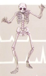 RoB Skeleton