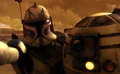 Rex on Skytop.jpg