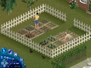 The Sims Unleashed 02