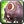 Inv pet sleepywilly