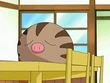 EP497 Swinub