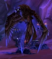 Kaliri Matriarch.jpg