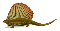 Edaphosaurus BW.jpg