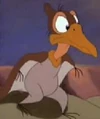 Petrie 2.jpg