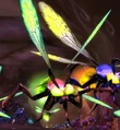 Lykul Wasp.jpg
