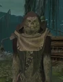 Spirit guide.jpg