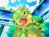 EP506 Drenadoras en el Turtwig de Ash