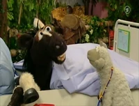 Folge2471-2