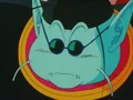 KaioSamanorte.jpg