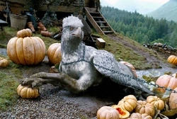Buckbeack.jpg