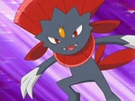 EP509 Weavile de Polo (2)